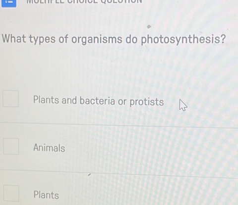 What types of organisms do photosynthesis?
Plants and bacteria or protists
Animals
Plants