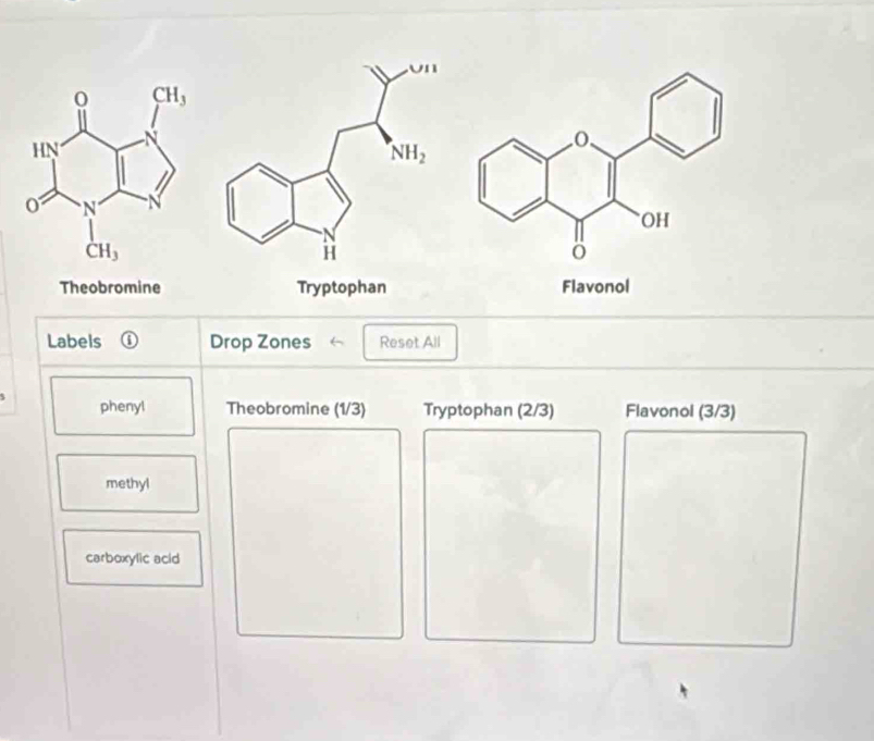 Theobromine Tryptophan Flavonol
Labels ① Drop Zones Reset All
phenyl Theobromine (1/3) Tryptophan (2/3) Flavonol (3/3)
methyl
carboxylic acid