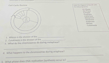 Cell Cycle Review Label the diagram to the left with the tollowing terms. 
G1 Phase G2 Phase 
S Phase Prophase 
Interphase Metaphase 
Telophase 
Anaphase Mitosis 
Cytokinesis 
1. Mitosis is the division of the_ 

2. Cytokinesis is the division of the_ 
3. What do the chromosomes do during metaphase? 
_ 
_ 
4. What happens to the chromosomes during anaphase? 
5. What phase does DNA replication (synthesis) occur in?_