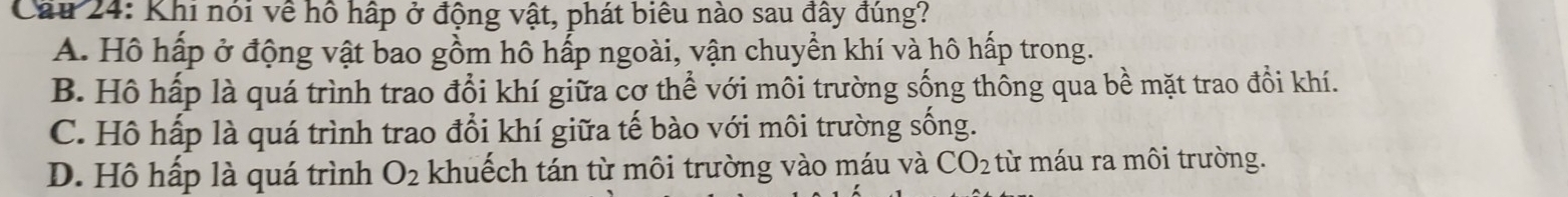Cầu 24: Khi nói về hồ hập ở động vật, phát biểu nào sau đây đúng?
A. Hô hấp ở động vật bao gồm hô hấp ngoài, vận chuyền khí và hô hấp trong.
B. Hồ hấp là quá trình trao đổi khí giữa cơ thể với môi trường sống thông qua bề mặt trao đồi khí.
C. Hồ hấp là quá trình trao đổi khí giữa tế bào với môi trường sống.
D. Hô hấp là quá trình O_2 khuếch tán từ môi trường vào máu và CO_2 từ máu ra môi trường.