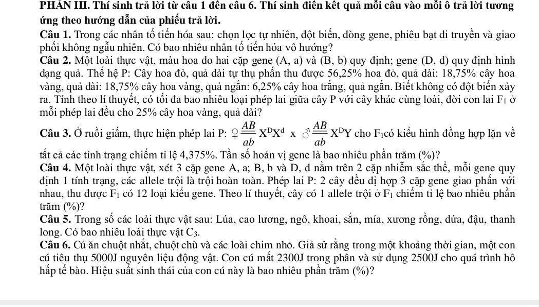 PHẢN III. Thí sinh trả lời từ câu 1 đến câu 6. Thí sinh điển kết quả mồi câu vào mồi ô trả lời tương
ứng theo hướng dẫn của phiếu trả lời.
Câu 1. Trong các nhân tổ tiến hóa sau: chọn lọc tự nhiên, đột biển, dòng gene, phiêu bạt di truyền và giao
phối không ngẫu nhiên. Có bao nhiêu nhân tố tiến hóa vô hướng?
Câu 2. Một loài thực vật, màu hoa do hai cặp gene (A,a) và (B,b) quy định; gene (D ,d) u định hình
dạng quả. Thế hệ P: Cây hoa đỏ, quả dài tự thụ phần thu được 56,25% hoa đỏ, quả dài: 18,75% cây hoa
vàng, quả dài: 18,75% cây hoa vàng, quả ngắn: 6,25% cây hoa trắng, quả ngắn. Biết không có đột biến xảy
ra. Tính theo lí thuyết, có tối đa bao nhiêu loại phép lai giữa cây P với cây khác cùng loài, đời con lai F_1 Ở
mỗi phép lai đều cho 25% cây hoa vàng, quả dài?
Câu 3. Ở ruồi giấm, thực hiện phép lai P: Q AB/ab X^DX^d*  ^AB AB/ab X^DY cho F_1 có kiểu hình đồng hợp lặn về
tất cả các tính trạng chiếm tỉ lệ 4,375%. Tần số hoán vị gene là bao nhiêu phần trăm (%)?
Câu 4. Một loài thực vật, xét 3 cặp gene A, a; B, b và D, d nằm trên 2 cặp nhiễm sắc thể, mỗi gene quy
định 1 tính trạng, các allele trội là trội hoàn toàn. Phép lai P: 2 cây đều dị hợp 3 cặp gene giao phần với
nhau, thu được F_1 a có 12 loại kiểu gene. Theo lí thuyết, cây có 1 allele trội ở F_1 chiếm tỉ lệ bao nhiêu phần
trăm (%)?
Câu 5. Trong số các loài thực vật sau: Lúa, cao lương, ngô, khoai, sắn, mía, xương rồng, dứa, đậu, thanh
long. Có bao nhiêu loài thực vật C_3.
Câu 6. Cú ăn chuột nhắt, chuột chù và các loài chim nhỏ. Giả sử rằng trong một khoảng thời gian, một con
cú tiêu thụ 5000J nguyên liệu động vật. Con cú mất 2300J trong phân và sử dụng 2500J cho quá trình hô
hấp tế bào. Hiệu suất sinh thái của con cú này là bao nhiêu phần trăm (%)?