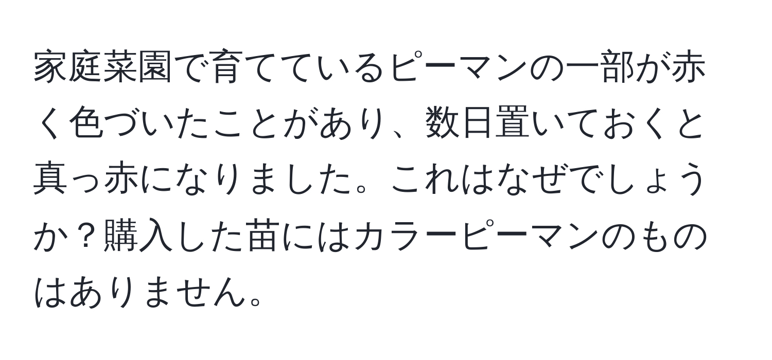 家庭菜園で育てているピーマンの一部が赤く色づいたことがあり、数日置いておくと真っ赤になりました。これはなぜでしょうか？購入した苗にはカラーピーマンのものはありません。