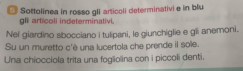 Sottolinea in rosso gli articoli determinativi e in blu 
gli articoli indeterminativi. 
Nel giardino sbocciano i tulipani, le giunchiglie e gli anemoni. 
Su un muretto c'è una lucertola che prende il sole. 
Una chiocciola trita una fogliolina con i piccoli denti.