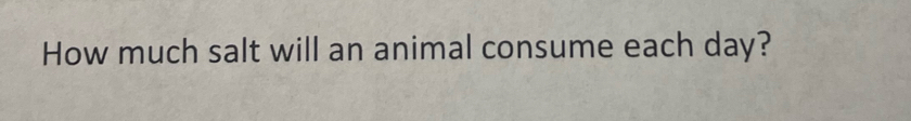 How much salt will an animal consume each day?