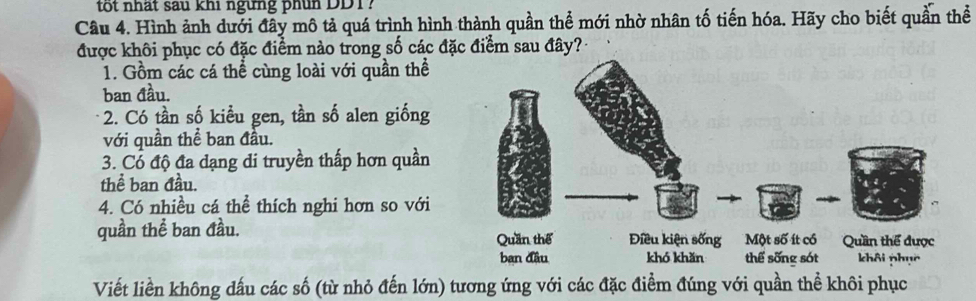 tot nhất sau khi ngừng phín DDT? 
Câu 4. Hình ảnh dưới đây mô tả quá trình hình thành quần thể mới nhờ nhân tố tiến hóa. Hãy cho biết quần thể 
được khôi phục có đặc điểm nào trong số các đặc điểm sau đây?- 
1. Gồm các cá thể cùng loài với quần thể 
ban đầu. 
2. Có tần số kiều gen, tần số alen giống 
với quần thể ban đầu. 
3. Cổ độ đa dạng di truyền thấp hơn quần 
thể ban đầu. 
4. Có nhiều cá thể thích nghi hơn so với 
quần thể ban đầu. 
ban đầu khó khǎn thể sống sót khôi phục 
Viết liền không dấu các số (từ nhỏ đến lớn) tương ứng với các đặc điểm đúng với quần thể khôi phục