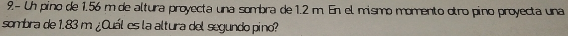 9.- Un pino de 1.56 m de altura proyecta una sombra de 1.2 m En el mismo momento otro pino proyecta una 
sombra de 1.83 m ¿Ouál es la altura del segundo pino?