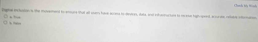 Check My Work
Digital inclusion is the movement to ensure that all users have access to devices, data, and infrastructure to receive high-speed, accurate, reliable information.
a. Bive
b. faive