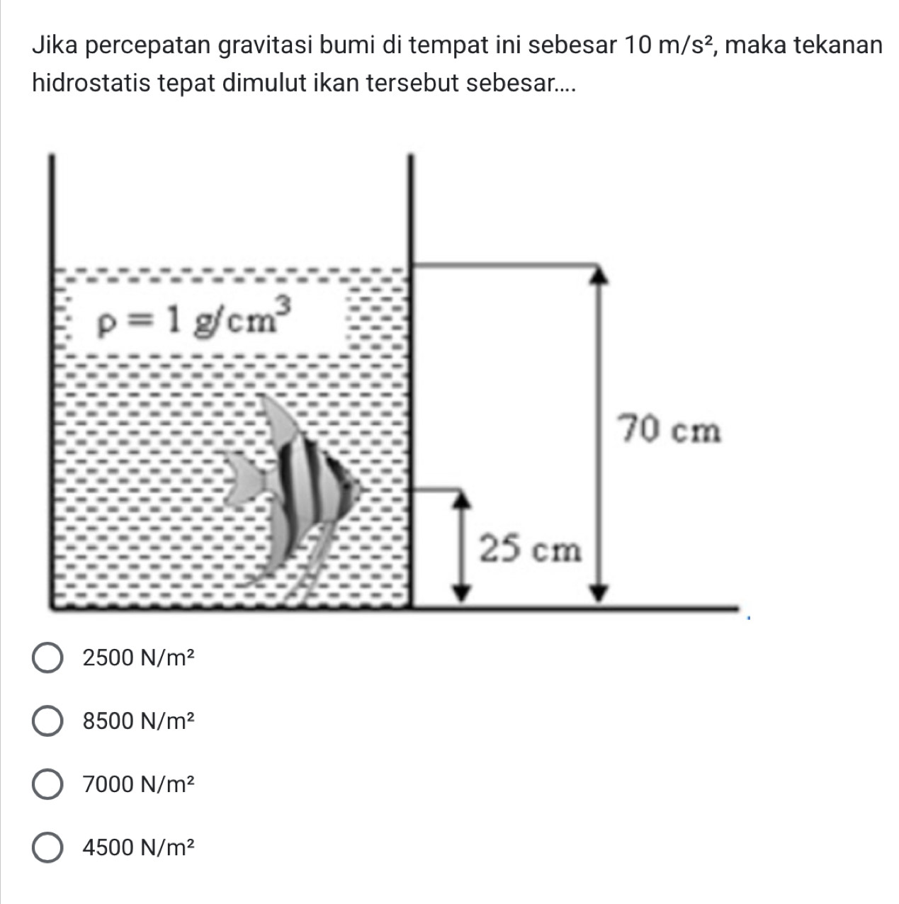 Jika percepatan gravitasi bumi di tempat ini sebesar 10m/s^2 , maka tekanan
hidrostatis tepat dimulut ikan tersebut sebesar....
2500N/m^2
8500N/m^2
7000N/m^2
4500N/m^2