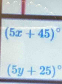 (5x+45)^circ 
(5y+25)^circ 