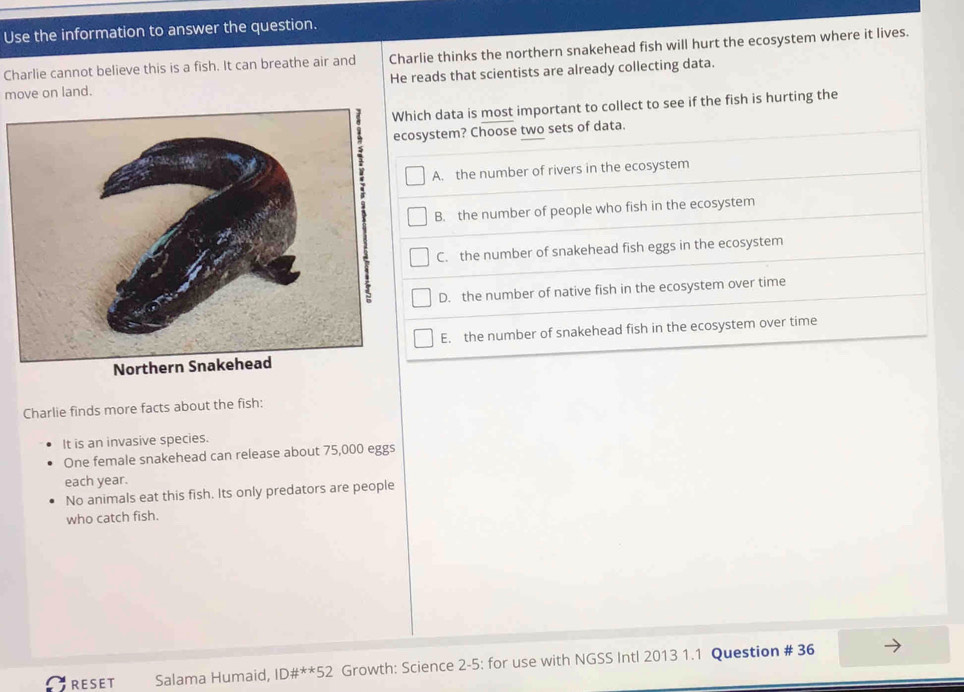 Use the information to answer the question.
Charlie cannot believe this is a fish. It can breathe air and Charlie thinks the northern snakehead fish will hurt the ecosystem where it lives.
move on land. He reads that scientists are already collecting data.
Which data is most important to collect to see if the fish is hurting the
system? Choose two sets of data.
A. the number of rivers in the ecosystem
B. the number of people who fish in the ecosystem
C. the number of snakehead fish eggs in the ecosystem
D. the number of native fish in the ecosystem over time
E. the number of snakehead fish in the ecosystem over time
Charlie finds more facts about the fish:
It is an invasive species.
One female snakehead can release about 75,000 eggs
each year.
No animals eat this fish. Its only predators are people
who catch fish.
RESET Salama Humaid, ID#**52 Growth: Science 2-5: for use with NGSS Intl 2013 1.1 Question # 36