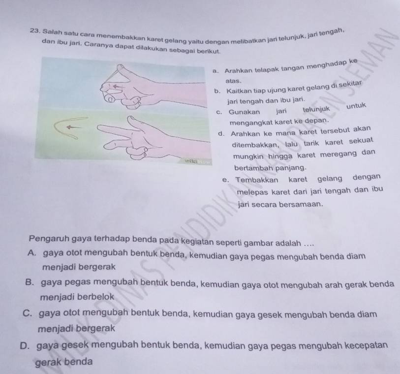 23, Salah satu cara menembakkan karet gelang yaitu dengan melibatkan jari telunjuk, jari tengah.
dan ibu jari, Caranya dapat dilakukan sebagai berikut.
Arahkan telapak tangan menghadap ke
atas.
Kaitkan tiap ujung karet gelang di sekitar
jari tengah dan ibu jari.
Gunakan jari telunjuk
untuk
mengangkat karet ke depan.
. Arahkan ke mana karet tersebut akan
ditembakkan, lalu tarik karet sekuat
mungkin hingga karet meregang dan
bertambah panjang.
e. Tembakkan karet gelang dengan
melepas karet dari jari tengah dan ibu
jari secara bersamaan.
Pengaruh gaya terhadap benda pada kegiatan seperti gambar adalah ....
A. gaya otot mengubah bentuk benda, kemudian gaya pegas mengubah benda diam
menjadi bergerak
B. gaya pegas mengubah bentuk benda, kemudian gaya otot mengubah arah gerak benda
menjadi berbelok
C. gaya otot mengubah bentuk benda, kemudian gaya gesek mengubah benda diam
menjadi bergerak
D. gaya gesek mengubah bentuk benda, kemudian gaya pegas mengubah kecepatan
gerak benda