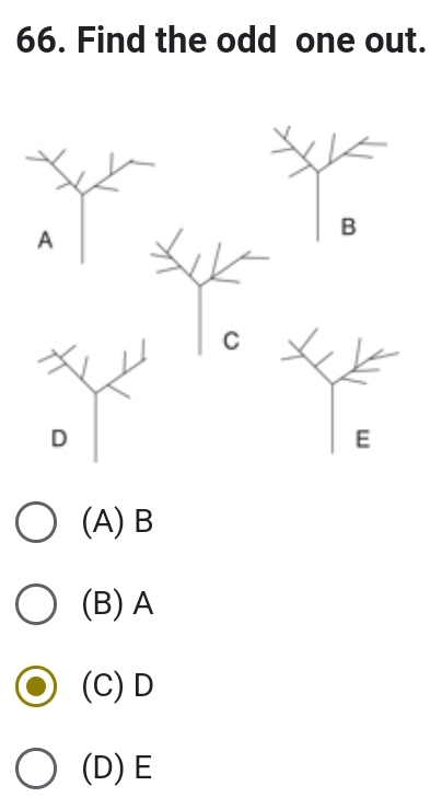 Find the odd one out.
(A) B
(B) A
(C) D
(D) E