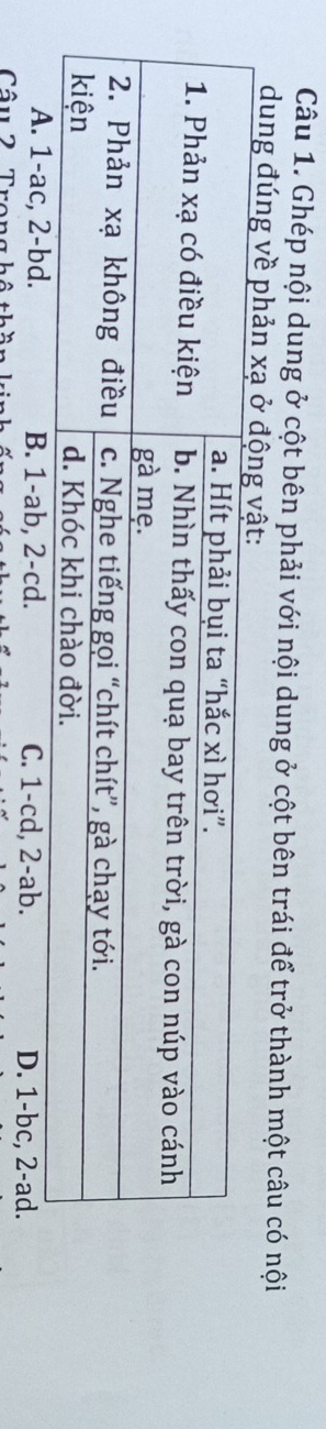 Ghép nội dung ở cột bên phải với nội dung ở cột bên trái để trở thành một câu có nội
dung đúng về phản xạ ở
A. 1-ac, 2-bd. B. 1-ab, 2-cd. C. 1-cd, 2-ab. D. 1-bc, 2-ad.
Câu 2 T ư