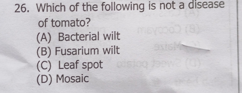 Which of the following is not a disease
of tomato?
(A) Bacterial wilt
(B) Fusarium wilt
(C) Leaf spot
(D) Mosaic