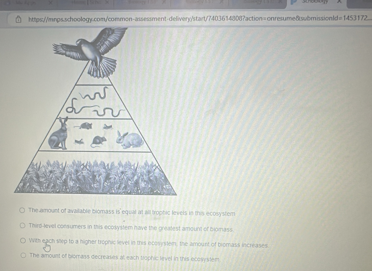 Schoblogy
https://mnps.schoology.com/common-assessment-delivery/start/7403614808?action=onresume&submissionld =1453172...
The amount of available biomass is equal at all trophic levels in this ecosystem
Third-level consumers in this ecosystem have the greatest amount of biomass.
With each step to a higher trophic level in this ecosystem, the amount of biomass increases.
The amount of biomass decreases at each trophic level in this ecosystem