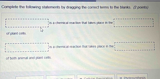 Complete the following statements by dragging the correct terms to the blanks. (2 points) 
□ is a chemical reaction that takes place in the d= a/2 |=sqrt(2)
of plant cells. 
□ is a chemical reaction that takes place in the □ 
of both animal and plant cells. 
u l a r D es niratión Photosvnthesis