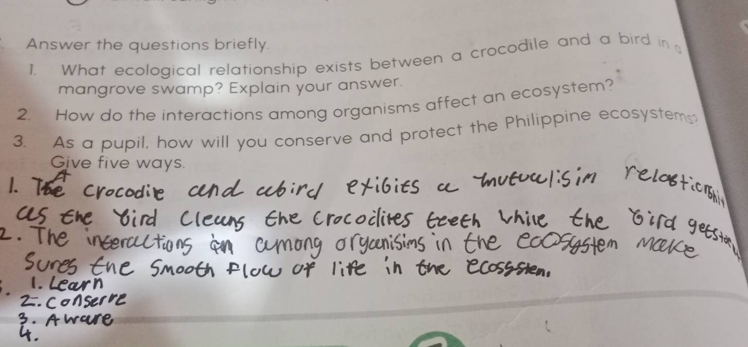 Answer the questions briefly. 
1. What ecological relationship exists between a crocodile and a bird in 
mangrove swamp? Explain your answer. 
2. How do the interactions among organisms affect an ecosystem? 
3. As a pupil, how will you conserve and protect the Philippine ecosystems? 
Give five ways.