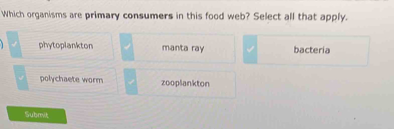 Which organisms are primary consumers in this food web? Select all that apply.
phytoplankton manta ray bacteria
polychaete worm zooplankton
Submit