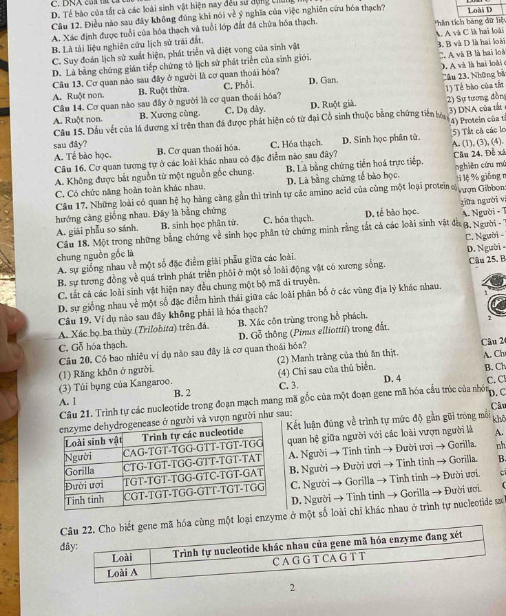 D. Tế bào của tất cả các loài sinh vật hiện nay đều sử dụng chứng
Câu 12. Điều nào sau đây không đúng khi nói về ý nghĩa của việc nghiên cứu hóa thạch?
Loài D
A. Xác định được tuổi của hóa thạch và tuổi lớp đất đá chứa hóa thạch. hân tích bảng dữ liệu
A. A và C là hai loài
B. Là tài liệu nghiên cứu lịch sử trái đất.
C. Suy đoán lịch sử xuất hiện, phát triển và diệt vong của sinh vật 3. B và D là hai loài
D. Là bằng chứng gián tiếp chứng tỏ lịch sử phát triển của sinh giới. C. A và B là hai loà
Câu 13. Cơ quan nào sau đây ở người là cơ quan thoái hóa? D. A và là hai loài e
A. Ruột non. B. Ruột thừa. C. Phổi. D. Gan. Câu 23. Những bả:
1) Tế bào của tất
Câu 14. Cơ quan nào sau đây ở người là cơ quan thoái hóa?
A. Ruột non. B. Xương cùng. C. Dạ dày. D. Ruột giả.
Cầu 15. Dầu vết của lá dương xỉ trên than đá được phát hiện có từ đại Cổ sinh thuộc bằng chứng tiến hóa 2) Sự tương đồng 3) DNA của tất
4) Protein của tả
sau đây? C. Hóa thạch. D. Sinh học phân tử. A. (1), (3), (4).
A. Tế bào học. B. Cơ quan thoái hóa. (5) Tất cả các lo
Câu 16. Cơ quan tương tự ở các loài khác nhau có đặc điểm nào sau đây?
A. Không được bắt nguồn từ một nguồn gốc chung. B. Là bằng chứng tiến hoá trực tiếp. Câu 24. Đề xá
C. Có chức năng hoàn toàn khác nhau. D. Là bằng chứng tế bào học. nghiên cứu mú  lệ % giống r
Câu 17. Những loài có quan hệ họ hàng càng gần thì trình tự các amino acid của cùng một loại protein có ượn Gibbon
hướng càng giống nhau. Đây là bằng chứng D. tế bào học. A. Người - T
A. giải phẫu so sánh. B. sinh học phân tử. C. hóa thạch.  giữa người v:
Câu 18. Một trong những bằng chứng về sinh học phân tử chứng minh rằng tắt cả các loài sinh vật đều  8. Người - 7
C. Người -
D. Người -
chung nguồn gốc là
A. sự giống nhau về một số đặc điểm giải phẫu giữa các loài.
B. sự tương đồng về quá trình phát triển phôi ở một số loài động vật có xương sống. Câu 25. B
C. tất cả các loài sinh vật hiện nay đều chung một bộ mã di truyền.
D. sự giống nhau về một số đặc điểm hình thái giữa các loài phân bố ở các vùng địa lý khác nhau.
Câu 19. Ví dụ nào sau đây không phải là hóa thạch?
A. Xác bọ ba thùy (Trilobita) trên đá. B. Xác côn trùng trong hồ phách.
2
C. Gỗ hóa thạch. D. Gỗ thông (Pinus elliottii) trong đất.
Câu 20. Có bao nhiêu ví dụ nào sau đây là cơ quan thoái hóa? Câu 26
(1) Răng khôn ở người. (2) Manh tràng của thú ăn thịt.
(3) Túi bụng của Kangaroo. (4) Chi sau của thú biển. A. Ch
D. 4 B. Ch
A. 1 B. 2 C. 3. C. Cl
Câu 21. Trình tự các nucleotide trong đoạn mạch mang mã gốc của một đoạn gene mã hóa cấu trúc của nhón
D. C
Câu
à vượn người như sau:
Kết luận đúng về trình tự mức độ gần gũi trong mối khô
quan hệ giữa người với các loài vượn người là A.
A. Người → Tinh tinh → Đười ươi → Gorilla.
nh
B. Người → Đười ươi → Tinh tinh → Gorilla.
B.
C. Người → Gorilla → Tinh tinh → Đười ươi.
C
D. Người → Tinh tinh → Gorilla → Đười ươi.
một loại enzyme ở một số loài chỉ khác nhau ở trình tự nucleotide saul
