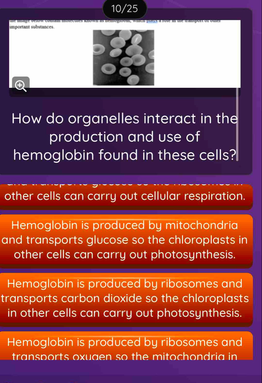 10/25
the iiage below comman molectles known as hemogioom, which plays a fote in the tansport of oler
important substances.
How do organelles interact in the
production and use of
hemoglobin found in these cells?
other cells can carry out cellular respiration.
Hemoglobin is produced by mitochondria
and transports glucose so the chloroplasts in
other cells can carry out photosynthesis.
Hemoglobin is produced by ribosomes and
transports carbon dioxide so the chloroplasts
in other cells can carry out photosynthesis.
Hemoglobin is produced by ribosomes and
transports oxuaen so the mitochondria in