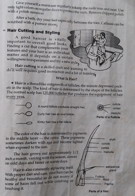 Give yourself a manicure regularly tokeep the nails trim and neat. Use 
only light colors on regular days to protect the nails. Remove chipped polish 
with a polish remover. 
After a bath, dry your feet especially between the toes. Calluses can be 
scrubbed with a pumice stone, 
* Hair Cutting and Styling 
A good haircut is vitally 
important to overall good look 
Finding a cut that complements yo 
features and your hair is an individ 
matter and it depends on a ce 
willingness to experiment and try a 
Hair cutting is a skilled craft 
do it well requires good instruction and a lot of training. 
What Is Hair? 
Hair is a threadlike outgrowth of follicles, the minute depressed pock- 
ets in the scalp. The kind of hair is determined by the shape of the follicles. 
The normal scalp has 120,000 follicles that produces the equipment of hair 
every year
A round follicle produces straight hair. cortex cuticle 
Curly hair has an oval follicle. Parts of a Follicle medulla 
Kinky hair has a flat follicle 
The color of the hair is determined by p 
in the middle layer — the cortex. These pig 
sometimes darken with age and become li 
when exposed to the sun. 
The hair grows out approximately 1
inch a month, varying with the season, slowe 
on cold days and faster on warm days. 
Hair is also constantly replacing itself. 
With proper diet and care, your hair can be 
healthy and beautiful so do not worry if 
some of hairs fall out while combing or 
brushing it.