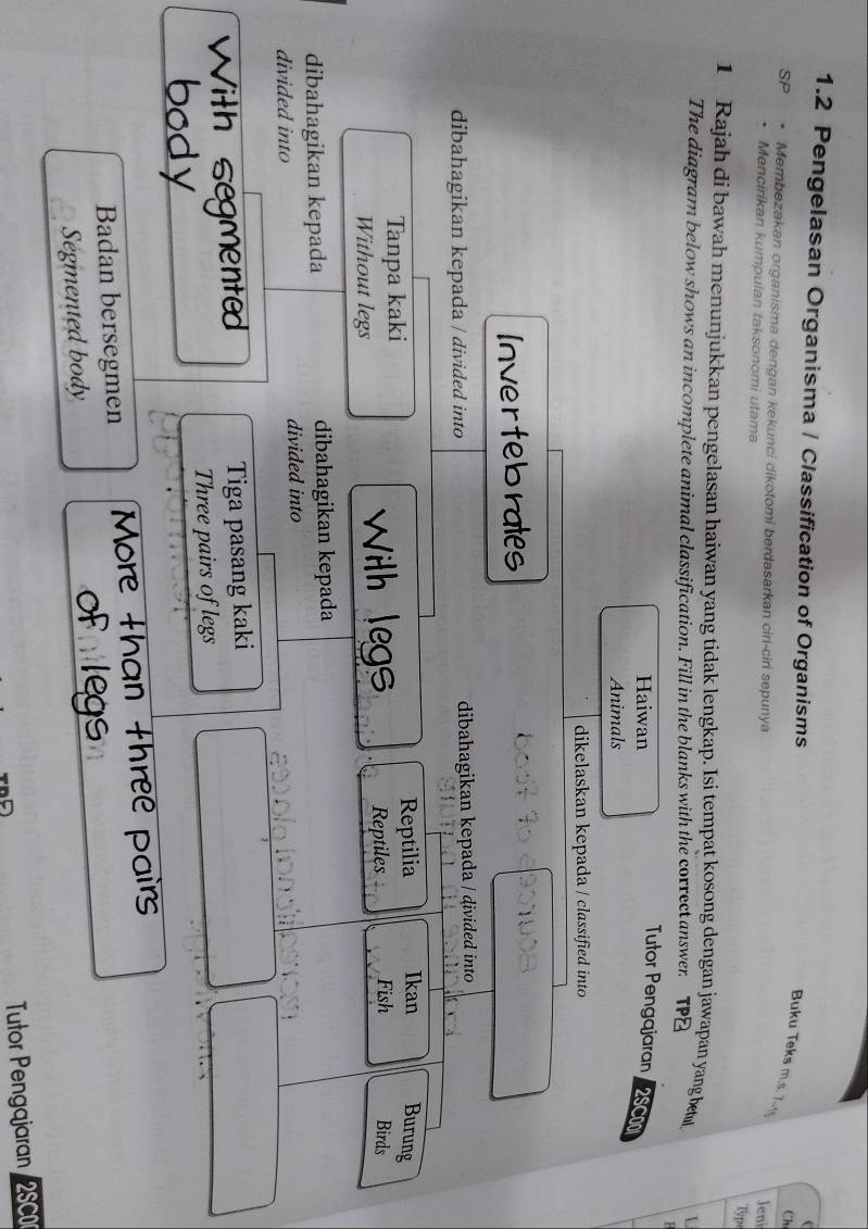 1.2 Pengelasan Organisma / Classification of Organisms 
Ch 
Buku Teks m.s. 7
Membezakan organisma dengan kekunci dikotomi berdasarkan ciri-ciri sepunya 
Jeni 
Mencirikan kumpulan taksonomi utama Type 
1 Rajah di bawah menunjukkan pengelasan haiwan yang tidak lengkap. Isi tempat kosong dengan jawapan yang beu L 
The diagram below shows an incomplete animal classification. Fill in the blanks with the correct answer. TP⊥ 
H 
Haiwan 
Tutor Pengajaran 25cm
Animals 
dikelaskan kepada / classified into 
Invertebrales 
dibahagikan kepada / divided into dibahagikan kepada / divided into 
Tanpa kaki Reptilia Ikan Burung 
1S 
Without legs Reptiles Fish Birds 
dibahagikan kepada dibahagikan kepada 
divided into divided into 
a 
Tiga pasang kaki 
Three pairs of legs 
Badan bersegmen 
Segmented body 
Tutor Pengajaran 2SC