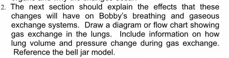 The next section should explain the effects that these 
changes will have on Bobby's breathing and gaseous 
exchange systems. Draw a diagram or flow chart showing 
gas exchange in the lungs. Include information on how 
lung volume and pressure change during gas exchange. 
Reference the bell jar model.