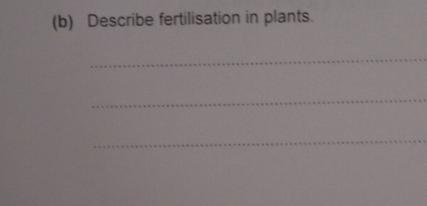 Describe fertilisation in plants. 
_ 
_ 
_