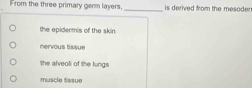 From the three primary germ layers, _is derived from the mesoder
the epidermis of the skin
nervous tissue
the alveoli of the lungs
muscle tissue