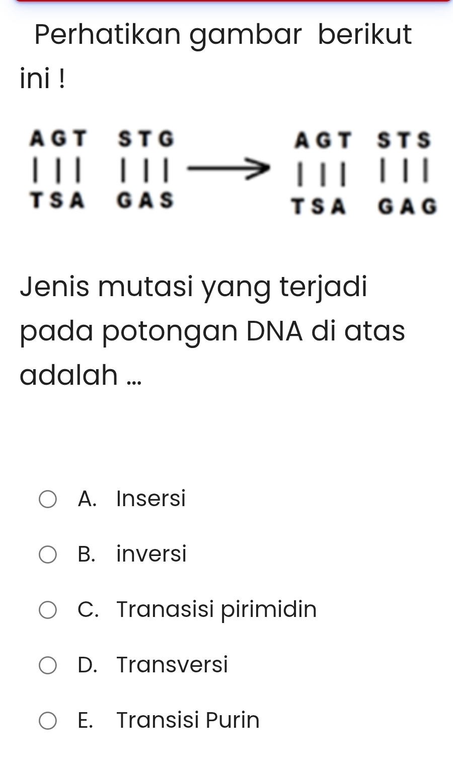 Perhatikan gambar berikut
ini !
Jenis mutasi yang terjadi
pada potongan DNA di atas
adalah ...
A. Insersi
B. inversi
C. Tranasisi pirimidin
D. Transversi
E. Transisi Purin