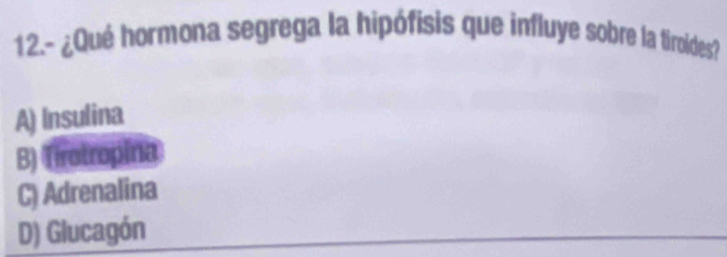 12.- ¿Qué hormona segrega la hipófisis que influye sobre la tirvides?
A) Insulina
B) Tirotropina
C) Adrenalina
D) Glucagón