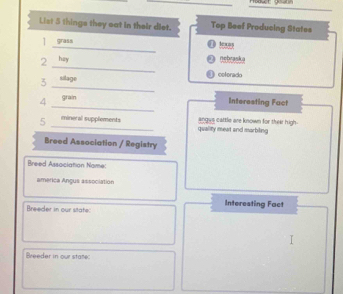 List 5 things they eat in their dlet. Top Beef Producing States 
_ 
1 grass 
_ 
2 hay 
nebraska 
3 silage 
① cotorado 
_ 
_ 
4 grain 
Interesting Fact 
5 _mineral supplements quality mest and marbiling angus cattle are known for their high. 
Breed Association / Registry 
Breed Association Name: 
america Angus association 
Breeder in our state: Interesting Fact 
Breeder in our state: