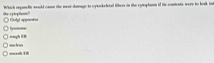 Which organelle would cause the most damage to cytoskeletal fibers in the cytoplasm if its contents were to leak int
the cytoplasm?
Golgi apparatus
lysosome
rough ER
nucleus
smooth ER