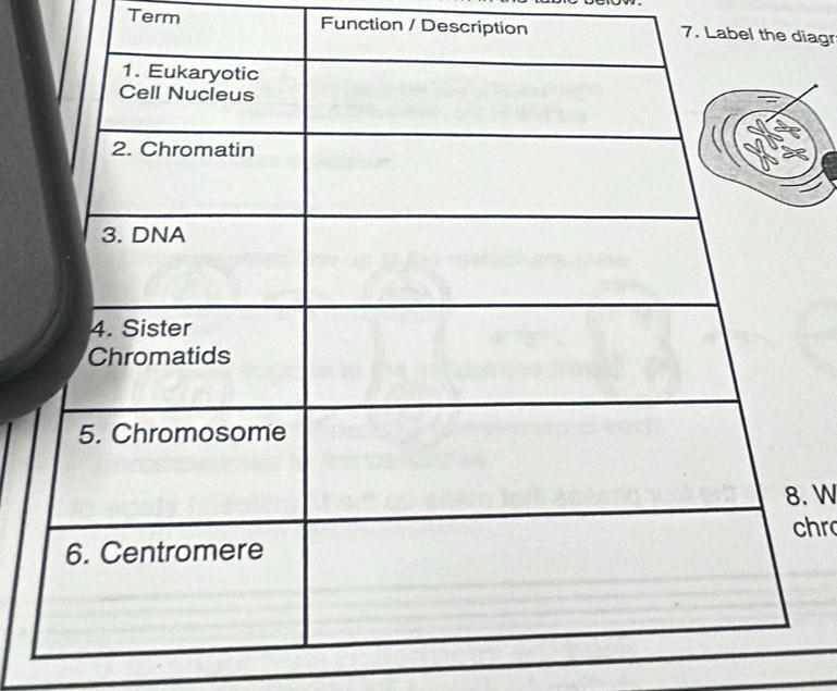 Term Function / Description 7. Labeiagr 
. W 
hr