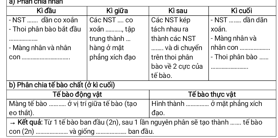 Phân chía nhân 
con (2n)_ và giống _ban đầu.