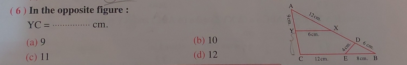 ( 6 ) In the opposite figure :
YC= _cm.
(a)9 (b) 10
(c) 11 (d)12