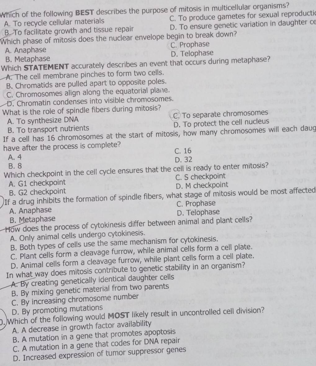 Which of the following BEST describes the purpose of mitosis in multicellular organisms?
A. To recycle cellular materials C. To produce gametes for sexual reproductic
B. To facilitate growth and tissue repair D. To ensure genetic variation in daughter ce
Which phase of mitosis does the nuclear envelope begin to break down?
A. Anaphase C. Prophase
B. Metaphase D. Telophase
Which STATEMENT accurately describes an event that occurs during metaphase?
A. The cell membrane pinches to form two cells.
B. Chromatids are pulled apart to opposite poles.
C. Chromosomes align along the equatorial plane.
D. Chromatin condenses into visible chromosomes.
What is the role of spindle fibers during mitosis?
A. To synthesize DNA C. To separate chromosomes
B. To transport nutrients D. To protect the cell nucleus
If a cell has 16 chromosomes at the start of mitosis, how many chromosomes will each daug
have after the process is complete?
C. 16
A. 4
D. 32
B. 8
Which checkpoint in the cell cycle ensures that the cell is ready to enter mitosis?
A. G1 checkpoint C. S checkpoint
B. G2 checkpoint D. M checkpoint
If a drug inhibits the formation of spindle fibers, what stage of mitosis would be most affected
A. Anaphase C. Prophase
B. Metaphase D. Telophase
How does the process of cytokinesis differ between animal and plant cells?
A. Only animal cells undergo cytokinesis.
B. Both types of cells use the same mechanism for cytokinesis.
C. Plant cells form a cleavage furrow, while animal cells form a cell plate.
D. Animal cells form a cleavage furrow, while plant cells form a cell plate.
In what way does mitosis contribute to genetic stability in an organism?
A. By creating genetically identical daughter cells
B. By mixing genetic material from two parents
C. By increasing chromosome number
D. By promoting mutations
. Which of the following would MOST likely result in uncontrolled cell division?
A. A decrease in growth factor availability
B. A mutation in a gene that promotes apoptosis
C. A mutation in a gene that codes for DNA repair
D. Increased expression of tumor suppressor genes