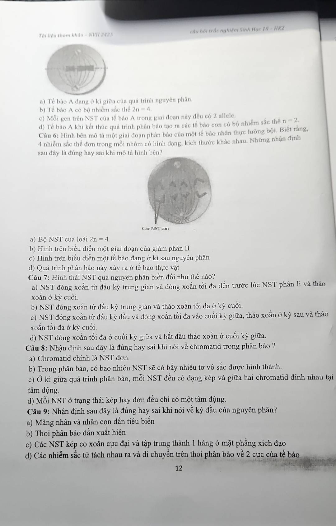 Tài liệu tham khảo - NVH 2425 câu hồi trấc nghiệm Sinh Học 10 - HKZ
a) Tế bảo A đang ở kỉ giữa của quá trình nguyên phân.
b) Tế bảo A có bộ nhiễm sắc thể 2n=4.
c) Mỗi gen trên NST của tế bào A trong giai đoạn này đều có 2 allele.
d) Tế bảo A khi kết thúc quá trình phân bảo tạo ra các tế bào con có bộ nhiễm sắc thể n=2.
Câu 6: Hình bên mô tả một giai đoạn phân bảo của một tế bảo nhân thực lưỡng bội. Biết răng,
4 nhiễm sắc thể đơn trong mỗi nhóm có hình dạng, kích thước khác nhau. Những nhận định
sau đây là đúng hay sai khi mô tả hình bên?
a) Bộ NST của loài 2n=4
b) Hình trên biểu diễn một giai đoạn của giảm phân II
c) Hình trên biểu diễn một tế bào đang ở kì sau nguyên phân
d) Quá trình phân bào này xảy ra ở tế bào thực vật
Câu 7: Hình thái NST qua nguyên phân biến đồi như thế nào?
a) NST đóng xoắn từ đầu kỳ trung gian và đóng xoắn tối đa đến trước lúc NST phân li và tháo
xoắn ở kỳ cuối.
b) NST đóng xoắn từ đầu kỳ trung gian và tháo xoắn tối đa ở kỳ cuối.
c) NST đóng xoắn từ đầu kỳ đầu và đóng xoắn tối đa vào cuối kỳ giữa, tháo xoắn ở kỳ sau và tháo
xoắn tối đa ở kỳ cuối.
d) NST đóng xoắn tối đa ở cuối kỳ giữa và bắt đầu tháo xoắn ở cuối kỳ giữa.
Câu 8: Nhận định sau đây là đúng hay sai khi nói về chromatid trong phân bảo ?
a) Chromatid chính là NST đơn.
b) Trong phân bào, có bao nhiêu NST sẽ có bấy nhiêu tơ vô sắc được hình thành.
c) Ở kì giữa quá trình phân bào, mỗi NST đều có dạng kép và giữa hai chromatid đính nhau tại
tâm động.
d) Mỗi NST ở trạng thái kép hay đơn đều chỉ có một tâm động.
Câu 9: Nhận định sau đây là đúng hay sai khi nói về kỳ đầu của nguyên phân?
a) Màng nhân và nhân con dần tiêu biến
b) Thoi phân bào dần xuất hiện
c) Các NST kép co xoắn cực đại và tập trung thành 1 hàng ở mặt phẳng xích đạo
d) Các nhiễm sắc tử tách nhau ra và di chuyền trên thoi phân bào về 2 cực của tế bào
12