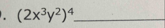 (2x^3y^2)^4 _