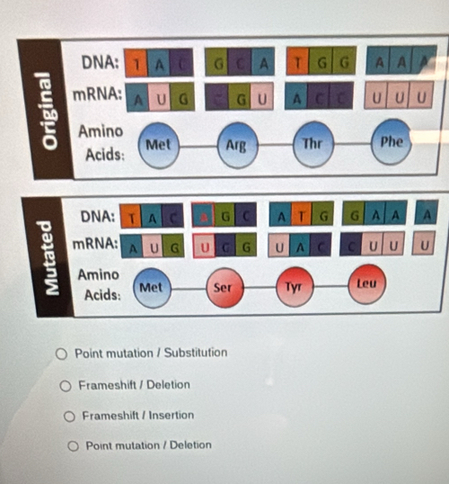 Point mutation / Substitution
Frameshift / Deletion
Frameshift / Insertion
Point mutation / Deletion