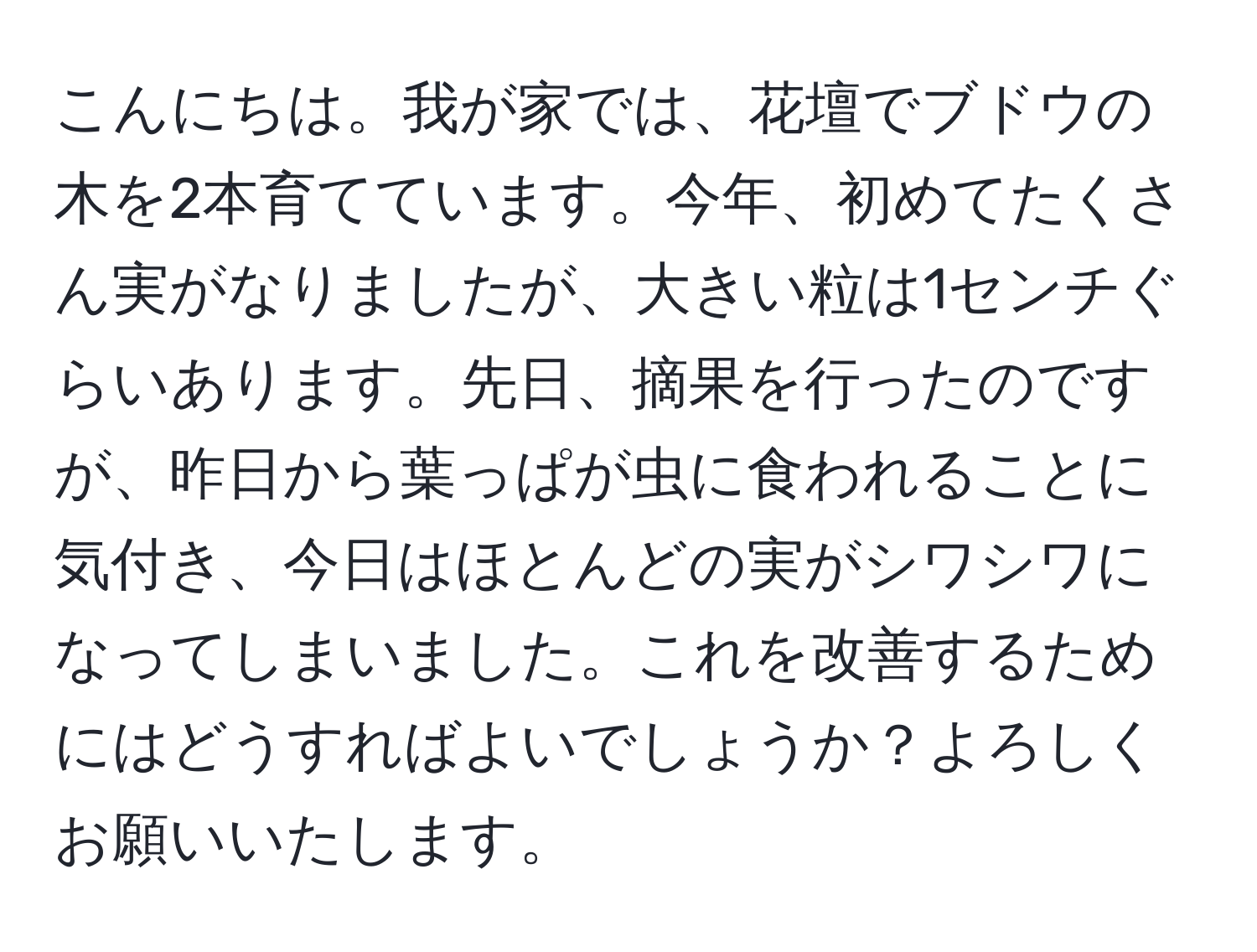 こんにちは。我が家では、花壇でブドウの木を2本育てています。今年、初めてたくさん実がなりましたが、大きい粒は1センチぐらいあります。先日、摘果を行ったのですが、昨日から葉っぱが虫に食われることに気付き、今日はほとんどの実がシワシワになってしまいました。これを改善するためにはどうすればよいでしょうか？よろしくお願いいたします。