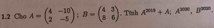 1.2 Cho A=beginpmatrix 4&-10 2&-5endpmatrix; B=beginpmatrix 4&3 8&6endpmatrix. Tính A^(2019)+A; A^(2020), B^(2020)