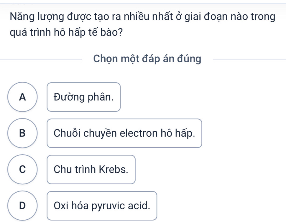 Năng lượng được tạo ra nhiều nhất ở giai đoạn nào trong
quá trình hô hấp tế bào?
Chọn một đáp án đúng
A Đường phân.
B Chuỗi chuyền electron hô hấp.
C Chu trình Krebs.
D Oxi hóa pyruvic acid.