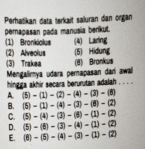 Perhatikan data terkait saluran dan organ
pernapasan pada manusia berikut.
(1) Bronkiolus (4) Laring
(2) Alveolus (5) Hidung
(3) Trakea (6) Bronkus
Mengalirnya udara pernapasan dari awal
hingga akhir secara berurutan adalah . . . .
A. (5)-(1)-(2)-(4)-(3)-(6)
B. (5)-(1)-(4)-(3)-(8)-(2)
C. (5)-(4)-(3)-(6)-(1)-(2)
D. (5)-(6)-(3)-(4)-(1)-(2)
E. (6)-(5)-(4)-(3)-(1)-(2)