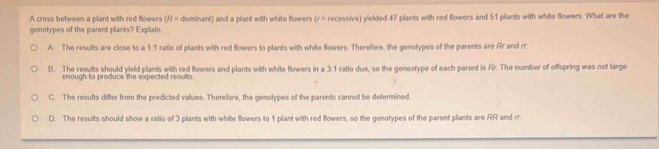 A cross between a plant with red flowers (R= dominant) and a plant with white flowers (r= recessive) yielded 47 plants with red flowers and 51 plants with white flowers. What are the
genotypes of the parent plants? Explain.
A. The results are close to a 1:1 ratio of plants with red flowers to plants with white flowers. Therefore, the genotypes of the parents are Rr and rr.
B. The results should yield plants with red flowers and plants with white flowers in a 3:1 ratio due, so the geneotype of each parent is Rr. The number of offspring was not large
enough to produce the expected results.
C. The results differ from the predicted values. Therefore, the genotypes of the parents cannot be defermined.
D. The results should show a ratio of 3 plants with white flowers to 1 plant with red flowers, so the genotypes of the parent plants are RR and rr.