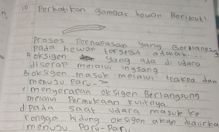 Perhatikan gamBar hewan Berilut! 
proses Pernapasan yang Berlangsig 
pada hewan lorseBut adaian. . . . 
in A oksigen yang ada di udara 
diserap melalui ingsang 
Boksigen masui meialc trakea dan 
menuju paru-ar 
cmenyerapan oksigen Berlangsung 
melalvi Permukaan Fulilnya. 
dpada saat udara masuk (e 
rongga hidung oksigen akan diaiirka 
menubu Paro-pary