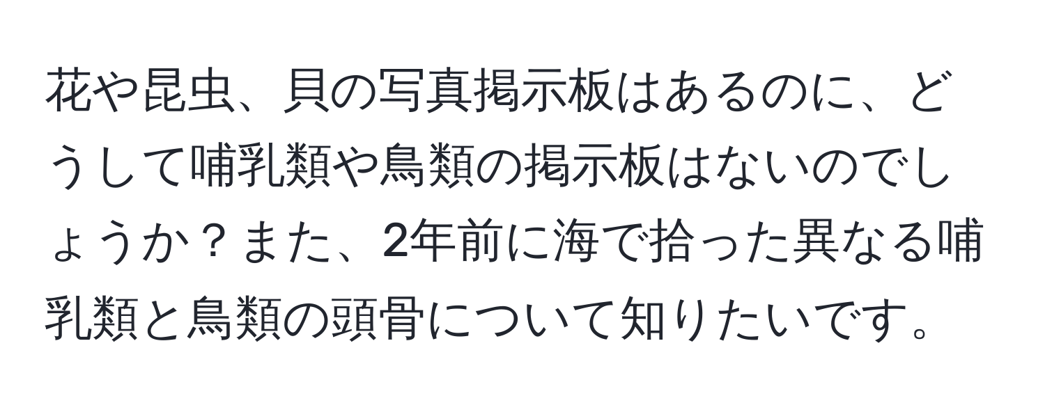 花や昆虫、貝の写真掲示板はあるのに、どうして哺乳類や鳥類の掲示板はないのでしょうか？また、2年前に海で拾った異なる哺乳類と鳥類の頭骨について知りたいです。