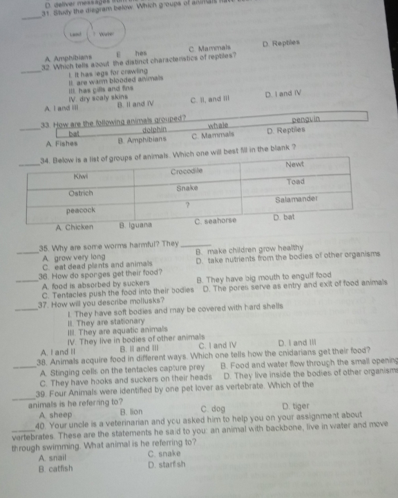 delíver messagas from
31 Study the diagram below. Which groups of animals Il
_
Lami ? Water
A. Amphibians hes C. Mammals D. Reptiles
_
32. Which tells about the distinct characteristics of reptiles?
l. It has legs for crawling
ll. are warm blooded animals
III. has gills and fins
IV. dry scaly skins
A. I and ⅢII B. II and IV C. II, and III D. I and IV
_
33. How are the following animals grouped?
bat dolphin whale penguin
A. Fishes B. Amphibians C. Mammals D. Reptiles
ch one will best fill in the blank ?
35. Why are some worms harmful? They_
_A. grow very long B. make children grow healthy
C. eat dead plants and animals D. take nutrients from the bodies of other organisms
36. How do sponges get their food?
_A. food is absorbed by suckers B. They have big mouth to engulf food
C. Tentacles push the food into their bodies D. The pores serve as entry and exit of food animals
_
37. How will you describe mollusks?
I. They have soft bodies and may be covered with hard shells
II. They are stationary
III. They are aquatic animals
IV. They live in bodies of other animals
A. I and II B. II and III C. I and IV D. I and III
38. Animals acquire food in different ways. Which one tells how the cnidarians get their food?
_A. Stinging cells on the tentacles capture prey B. Food and water flow through the small opening
C. They have hooks and suckers on their heads D. They live inside the bodies of other organism
_
39. Four Animals were identified by one pet lover as vertebrate. Which of the
animals is he referring to? D. tiger
A. sheep B. lion C. dog
40. Your uncle is a veterinarian and you asked him to help you on your assignment about
_vertebrates. These are the statements he said to you: an animal with backbone, live in water and move
through swimming. What animal is he referring to?
A. snail C. snake
B. catfish D. starf sh