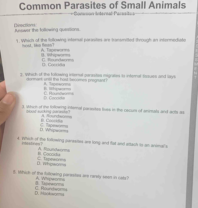 Solved: Common Parasites of Small Animals Common Internal Parasites ...