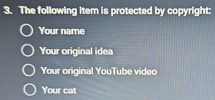 The following item is protected by copyright:
Your name
Your original idea
Your original YouTube video
Your cat